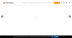 Desktop Screenshot of fermentis.com