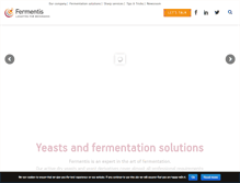 Tablet Screenshot of fermentis.com